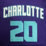 NBA Men New Season Charlotte Hornets #20 HAYWARD Purple Jersey High Quality Name and Number Print