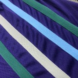 NBA Men New Season Charlotte Hornets #20 HAYWARD Purple Jersey High Quality Name and Number Print