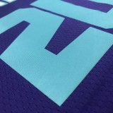 NBA Men New Season Charlotte Hornets #20 HAYWARD Purple Jersey High Quality Name and Number Print