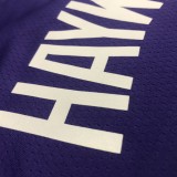 NBA Men New Season Charlotte Hornets #20 HAYWARD Purple Jersey High Quality Name and Number Print