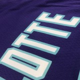 NBA Men New Season Charlotte Hornets #2 BALL Purple Jersey High Quality Name and Number Print