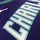NBA Men New Season Charlotte Hornets #20 HAYWARD Purple Jersey High Quality Name and Number Print