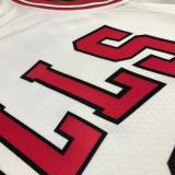 NBA Men 75th Anniversary Chicago Bulls White #91 RODMAN Jersey High Quality Name and Number Print
