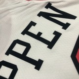 NBA Men 75th Anniversary Chicago Bulls White #33 PIPPEN Jersey High Quality Name and Number Print