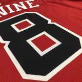 NBA Men 75th Anniversary Chicago Bulls Red #8 LAVINE Jersey High Quality Name and Number Print