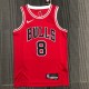 NBA Men 75th Anniversary Chicago Bulls Red #8 LAVINE Jersey High Quality Name and Number Print