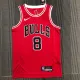 NBA Men 75th Anniversary Chicago Bulls Red #8 LAVINE Jersey High Quality Name and Number Print