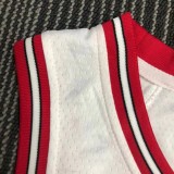 NBA Men 75th Anniversary Chicago Bulls White #91 RODMAN Jersey High Quality Name and Number Print