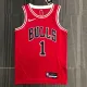 NBA Men 75th Anniversary Chicago Bulls Red #1 ROSE Jersey High Quality Name and Number Print