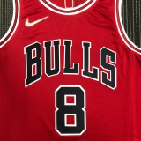 NBA Men 75th Anniversary Chicago Bulls Red #8 LAVINE Jersey High Quality Name and Number Print