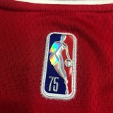 NBA Men 75th Anniversary Chicago Bulls Red #2 BALL Jersey High Quality Name and Number Print