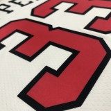 NBA Men 75th Anniversary Chicago Bulls White #33 PIPPEN Jersey High Quality Name and Number Print