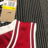 NBA Men 75th Anniversary Chicago Bulls Red #33 PIPPEN Jersey High Quality Name and Number Print
