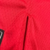 NBA Men 75th Anniversary Chicago Bulls Red #45 JORDAN Jersey High Quality Name and Number Print