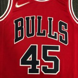 NBA Men 75th Anniversary Chicago Bulls Red #45 JORDAN Jersey High Quality Name and Number Print