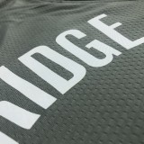 NBA Men Brooklyn Nets Grey with Jordan Logo #21 ALDRIDGE Jersey High Quality Name and Number Print