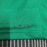 NBA 75th Anniversary Boston Celtics Green #7 BROWN Jersey High Quality Name and Number Print