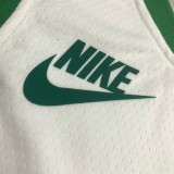 NBA 75th Anniversary Boston Celtics Retro White #0 TATUM Jersey High Quality Name and Number Print