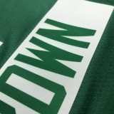NBA Season 2022 Boston Celtics Green #7 BROWN Jersey High Quality Name and Number Print
