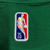 NBA 75th Anniversary Boston Celtics Green #0 TATUM Jersey High Quality Name and Number Print