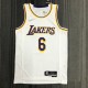 NBA 75th Anniversary Los Angeles Lakers White Round Neck #6 JAMES Jersey High Quality Name and Number Print