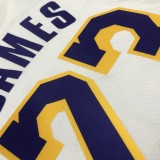 NBA 75th Anniversary Los Angeles Lakers White Round Neck #23 JAMES Jersey High Quality Name and Number Print