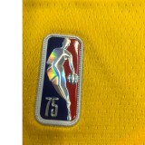 NBA 75th Anniversary Los Angeles Lakers Yellow Round Neck #39 HOWARD Jersey High Quality Name and Number Print