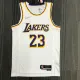 NBA 75th Anniversary Los Angeles Lakers White Round Neck #23 JAMES Jersey High Quality Name and Number Print