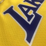 NBA 75th Anniversary Los Angeles Lakers Yellow Round Neck #3 DAVIS Jersey High Quality Name and Number Print