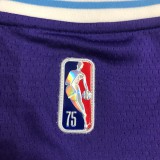 NBA Season 2022 75th Anniversary Los Angeles Lakers Purple Round Neck #23 JAMES Jersey High Quality Name and Number Print