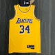NBA 75th Anniversary Los Angeles Lakers Yellow Round Neck #34 O'NEAL Jersey High Quality Name and Number Print