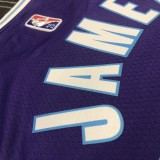 NBA Season 2022 75th Anniversary Los Angeles Lakers Purple Round Neck #23 JAMES Jersey High Quality Name and Number Print