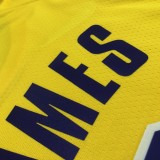 NBA 75th Anniversary Los Angeles Lakers Yellow Round Neck #6 JAMES Jersey High Quality Name and Number Print