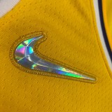 NBA 75th Anniversary Los Angeles Lakers Yellow Round Neck #3 DAVIS Jersey High Quality Name and Number Print