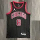 NBA Men 75th Anniversary Chicago Bulls Black with Jordan Logo #8 LAVINE Jersey High Quality Name and Number Print