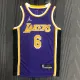 NBA Season 2022 75th Anniversary Los Angeles Lakers with Jordan Logo Purple Round Neck #6 JAMES Jersey High Quality Name and Number Print