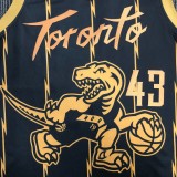 NBA Men 75th Anniversary Toronto Raptors Black #43 SIAKAM Jersey High Quality Name and Number Print