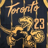 NBA Men 75th Anniversary Toronto Raptors Black #23 VANVLEET Jersey High Quality Name and Number Print