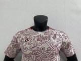 22/23 Mexico Away World Cup Jersey Player Version 1:1 Quality