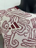 22/23 Mexico Away World Cup Jersey Player Version 1:1 Quality