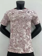 22/23 Mexico Away World Cup Jersey Player Version 1:1 Quality