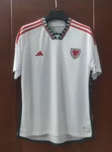 22/23 Welsh Away World Cup Soccer Jersey Fans Version  1:1 Quality