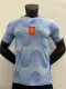 22/23 Spain Away World Cup Soccer Jersey Player Version  1:1 Quality