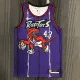 NBA Men Toronto Raptors Retro Purple #43 SIAKAM Jersey High Quality Name and Number Print