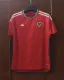 22/23 Welsh Home World Cup Soccer Jersey Fans Version  1:1 Quality