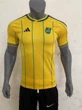 23/24 Jamaica Home Jersey Fans Version 1:1 Quality