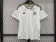 23/24 Costa Rica Away Jersey Fans Version Thai Quality