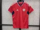 23/24 Costa RicaHome Jersey Fans Version Thai Quality