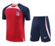 23/24 At Madrid  Red Training Set--Short sleeve and Short Pant Training Tracksuit