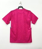 22/23 Porcinos Pink Jersey 1:1 Quality Fan Version